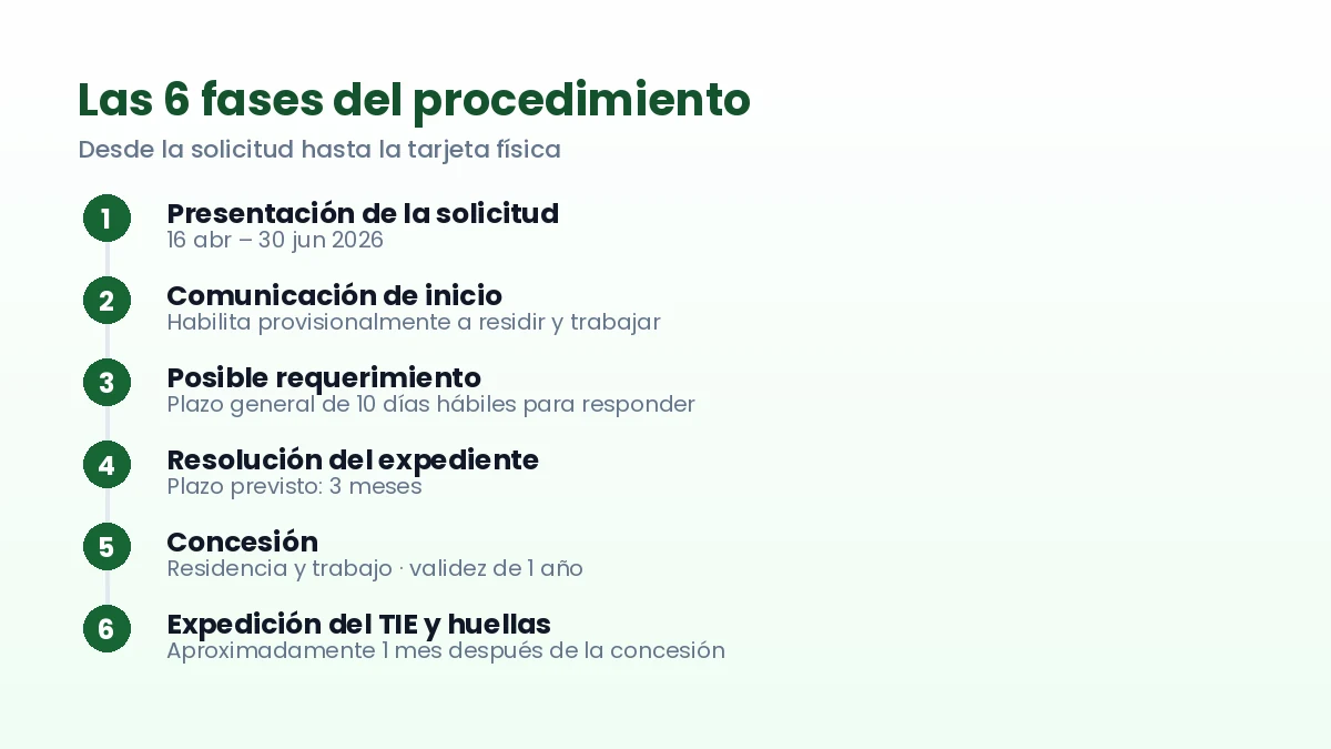 Esquema de las seis fases de la regularización extraordinaria 2026: presentación de la solicitud, comunicación de inicio, posible requerimiento, resolución, concesión y expedición del TIE con toma de huellas.